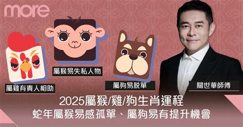 屬比狗|屬猴/雞/狗2025蛇年生肖運程 麥玲玲：屬狗貴人運不錯